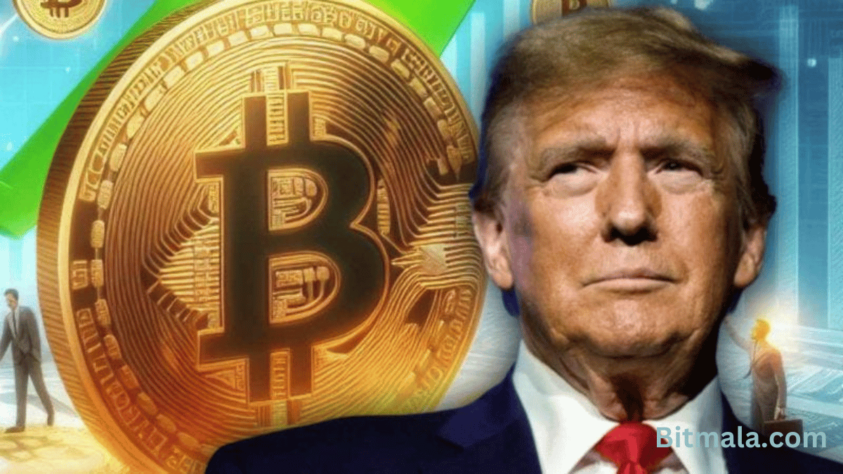 Trump’s Crypto Project Fuels New Digital Currency Buzz