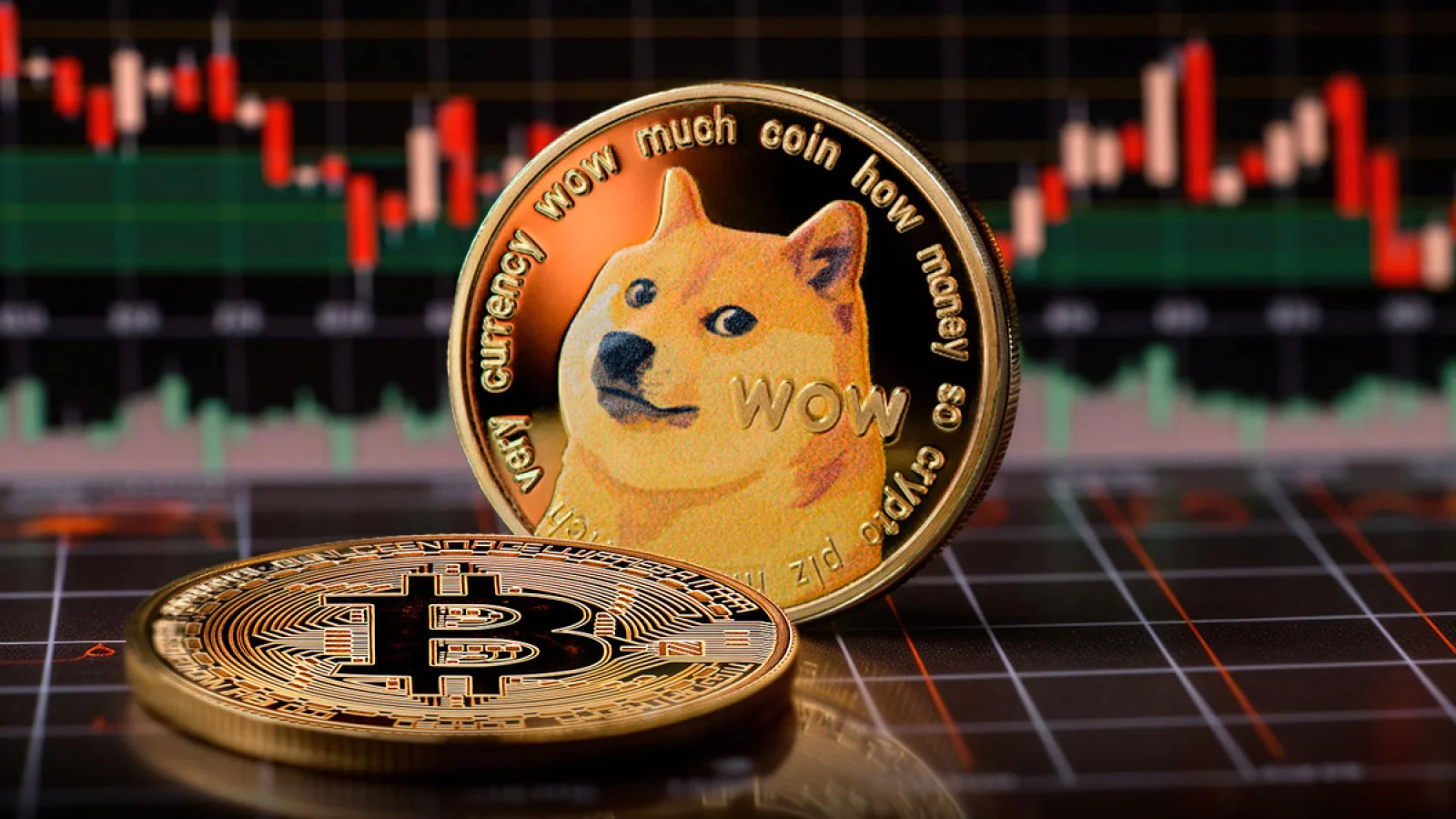 Dogecoin Creator Reacts to Bitcoin Crash