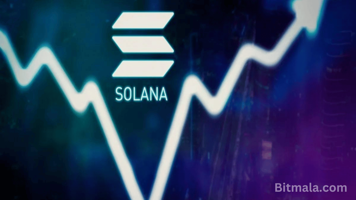 Solana’s August Dip: What’s Next?