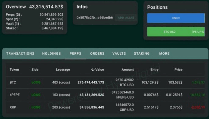 Bitcoin whale movement